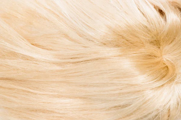 Blond Włosy Naturalne Przedłużania Białym Tle Przycinania Patch Miejsce — Zdjęcie stockowe