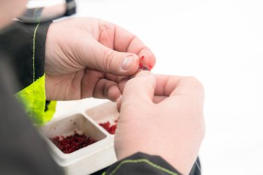 Balık yemi oltaya koyarak adam. Kış Balıkçılık buz üzerinde. İçinde belgili tanımlık vahşi rahatlatıcı