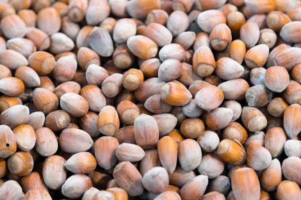 Nocciole Vendute Nel Mercato Ortofrutticolo Delle Formiche Buoni Chicchi Mangiano — Foto Stock