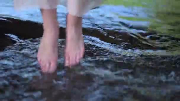 Hermosa Chica Descalza Sumergiendo Sus Pies Río Corriente Fresca — Vídeo de stock