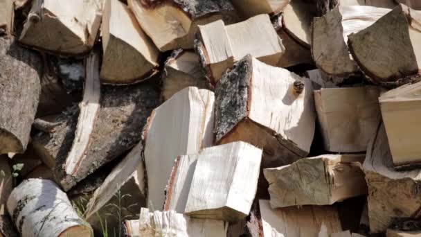 一堆堆切碎的桦木 准备过冬 背靠在一堆桦树木柴上 天然木制背景 — 图库视频影像