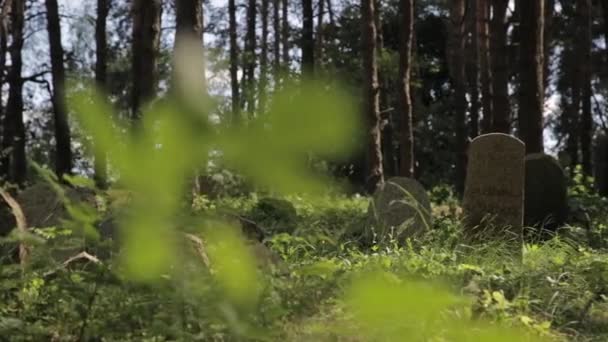 Panning Tiro Cemitério Islâmico Abandonado Floresta Grama Árvores Cresce Sobre — Vídeo de Stock