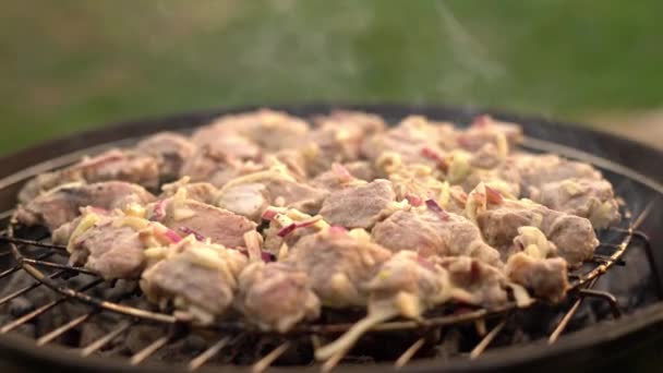 Grillning Barbeque Meet Grillen Utomhus Bakgården Sommar Picknick Rostning Kött — Stockvideo