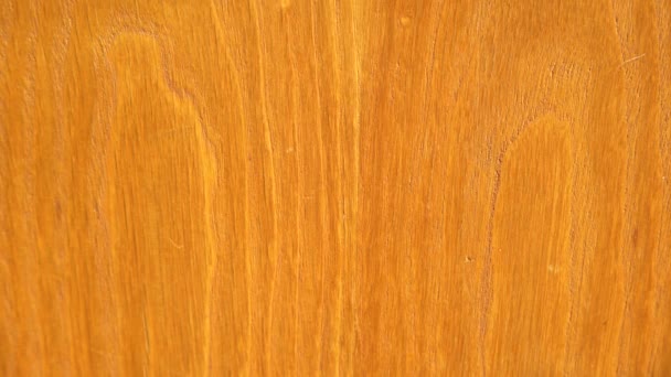 Vintage, old wood texture. Wooden surface background, natural handmade texture — Stock Footage Vintage Old Wood Texture Wooden Surface Background Natural Handmade Texture Royalty Free Stock Video