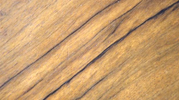 Ročník Stará Dřevěná Textura Dřevěné Povrchové Pozadí Přírodní Ručně Dělený — Stock video