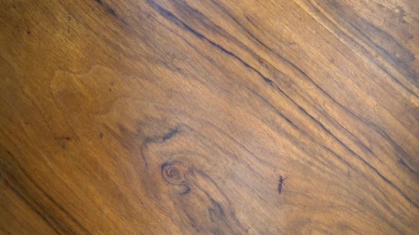 Vintage, old wood texture. Wooden surface background, natural handmade texture — Stock Footage Vintage Old Wood Texture Wooden Surface Background Natural Handmade Texture Stock Video