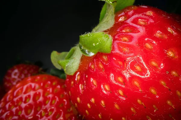 Macro shot of red juicy strawberry on black background. Sweet harvested berry background, healthy food lifestyle — Stock Photo, Image