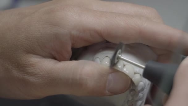 Técnico Dental Sosteniendo Molde Mandíbula Artificial Con Dientes Puliéndolos Laboratorio — Vídeo de stock