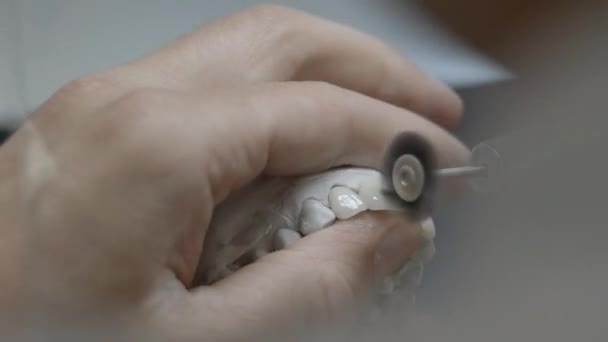 Técnico Dental Sosteniendo Molde Mandíbula Artificial Con Dientes Puliéndolos Laboratorio — Vídeo de stock