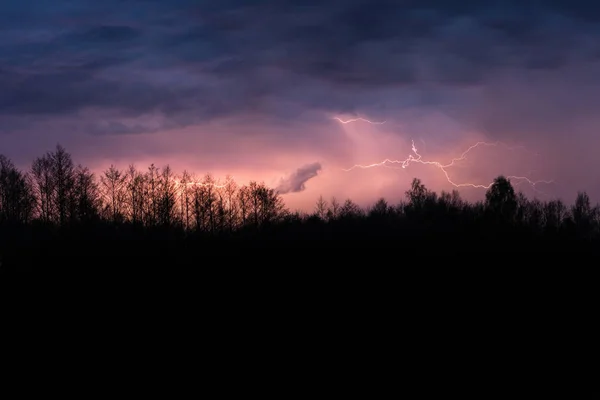 Orage estival coloré au-dessus de la forêt la nuit. Frappes lumineuses spectaculaires dans le ciel — Photo