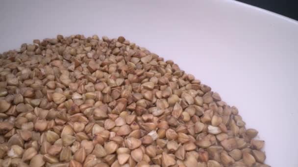 Сушеные Семена Гречихи Безглютеновое Древнее Зерно Здорового Питания Здорового Образа — стоковое видео