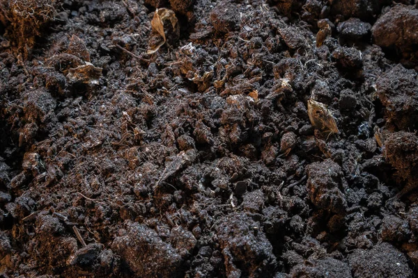 Textura oscura de tierra negra. Vista superior de la superficie de tierra negra, fondo agrícola —  Fotos de Stock