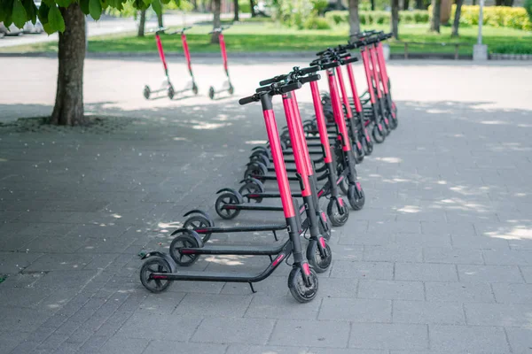 Modern eco electric city scooters for rent outdoors on the sidewalk. Alternative tourism, transportation around the city, bike replacement service. E-scooters can be rented with an app