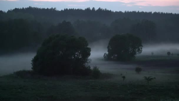 Upływ Czasu Niskiej Wiszącej Mgły Wokół Drzew Nad Trawą Nocy — Wideo stockowe