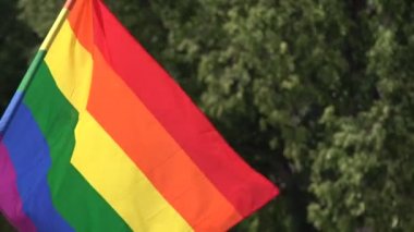 Eşcinsel geçit olayında LGBT topluluğunu destekleyen gökkuşağı bayrağı. Gay gurur kutlama sırasında kalabalığın içinde renkli bayrak