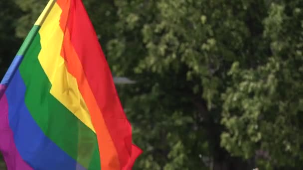 Bandiera Rainbow Sostegno Della Comunità Lgbt Durante Evento Gay Parade — Video Stock