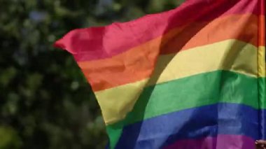 Eşcinsel geçit olayında LGBT topluluğunu destekleyen gökkuşağı bayrağı. Gay gurur kutlama sırasında kalabalığın içinde renkli bayrak