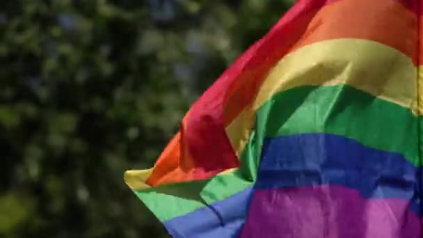 Drapelul Curcubeului Sprijină Comunitatea Lgbt Evenimentul Paradă Gay Steag Colorat — Videoclip de stoc