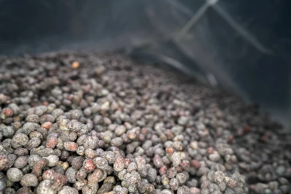 Dentro il sacchetto pieno di semi di papavero. Macro shot di cumulo essiccato di semi di papavero in un sacchetto di plastica — Foto Stock
