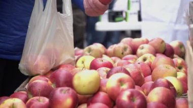Şehir meyve ve sebze pazarında kırmızı elma seçimi Müşteri. Alıcı çiftçi pazarında kırmızı sulu elma toplama
