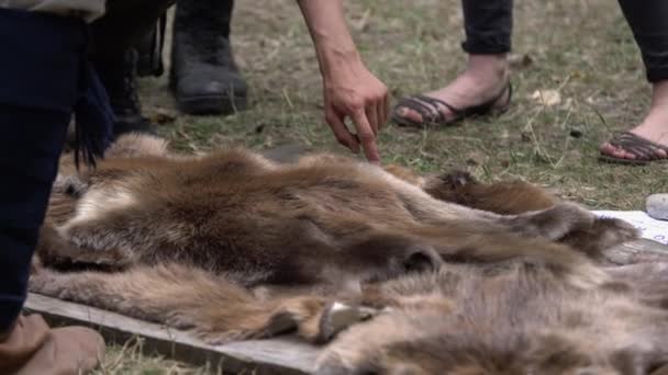 地面の野生の動物の毛皮を拾う男の手 農村での販売のための動物コートの皮 — ストック動画