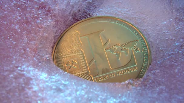 金莱特币硬币 轻币在线数字货币冻结在蓝冰 块链的概念 市场崩溃 冻结的加密货币 — 图库视频影像