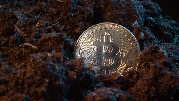 Monnaie Minière Crypto Bitcoin Monnaie Ligne Pièce Dans Sol Terre — Video