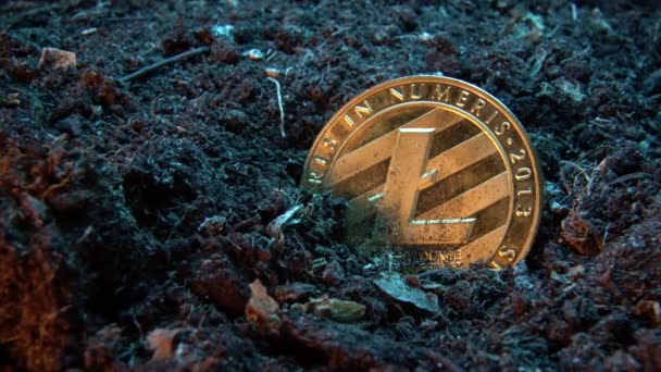 挖掘加密货币 莱特币 网上钱币在泥土地面 数字货币 连锁市场 在线业务 — 图库视频影像