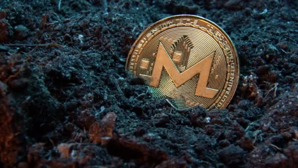 Mining Crypto Currency Monerd Moneta Denaro Online Nel Terreno Sporco — Video Stock