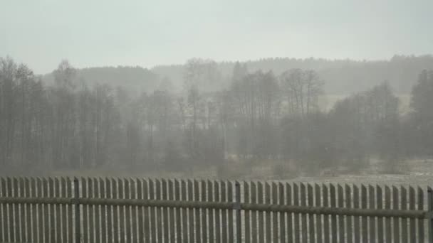 Tung Snöstorm Utanför Byn Liggande Utsikt Över Skogen Med Bländande — Stockvideo