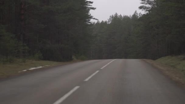 Bilkörning Vägen Naturen Molnig Dag Körning Genom Tallskog Landskap — Stockvideo