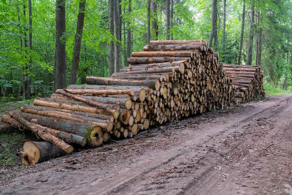 Bereich der illegalen Abholzung der Vegetation im Wald. Baum und Stämme aus dem Wald schneiden. ein Holzstapel in der Nähe des Waldes. Konzept Holzeinschlag, Holzproblem, Ökologie — Stockfoto