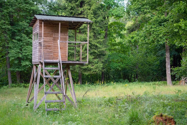 ハンターは道路の向かいの森に小屋を持っている。ハンタータワーや荒野のポストを見ます。ハンターポストは野生動物を見て撃つ木製の構造です — ストック写真