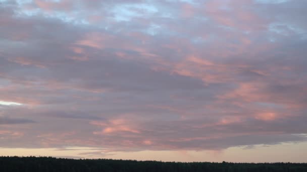 Noite Calma Com Céu Ardente Floresta Fundo Céu Colorido Pôr — Vídeo de Stock