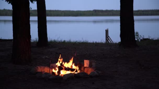 木のシルエットに囲まれた夕暮れ時の湖畔の燃えるキャンプ火災の眺め 森の中の木々に囲まれた水の上に燃える暖炉 荒野で夜を過ごす — ストック動画