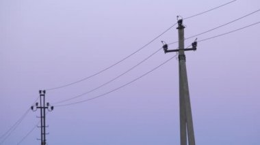 Alacakaranlıkta köyde eski beton elektrik direkleri. Yüksek gerilim kabloları ve renkli şafak gökyüzü arka plan ile Rustik telefon direkleri