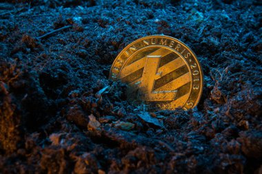 Kripto para madenciliği - Litecoin. Toprak zeminde online para sikke. Dijital para birimi, blok zinciri piyasası, online iş