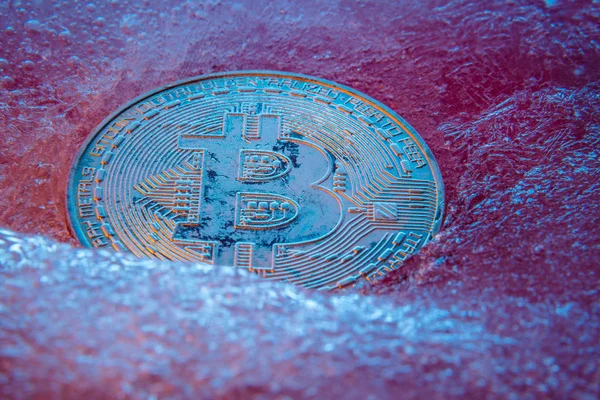 Gümüş Bitcoin, bit sikke online dijital para mavi buz dondurulmuş. Blok zinciri kavramı, kripto piyasa çökmesi. Dondurulmuş kripto para, amortisman