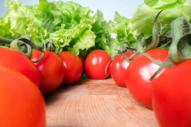 Ahşap masa arka plan üstüne marul yaprakları ile kırmızı neşeli domates. Evde yetiştirilen sebzeler, sağlıklı beslenme yaşam tarzı