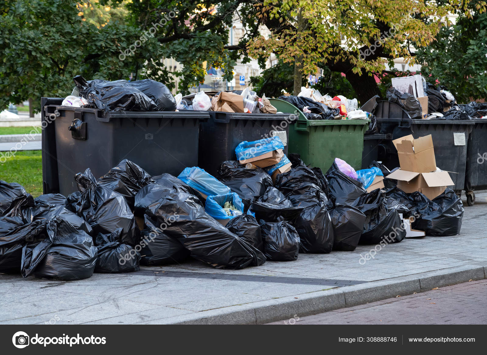 overflow trash bolsas