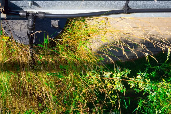 Großaufnahme Der Bewässerungsanlage Garten Einem Sonnigen Tag Automatische Bewässerungsanlagen Auf — Stockfoto