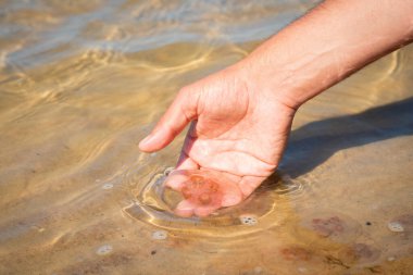 Sahilde elinde denizanası tutan kişi. Medusa kıyıdaki sığ sularda.