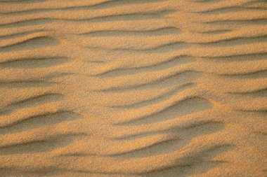Sahildeki doğal kum tepecikleri oluşumunun soyut görüntüsü. Kıvırcık kum dalgası deseni yakın çekim. Güzel kumlu arka plan. Kimse.