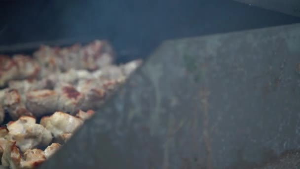 Close Uitzicht Smakelijke Rauwe Varkensvlees Shashlik Grillen Barbecue Spies Vlees — Stockvideo