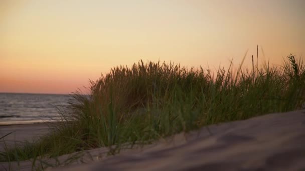 Piękny Złoty Zachód Słońca Przez Trawę Plaży Słońce Zachodzi Morzu — Wideo stockowe