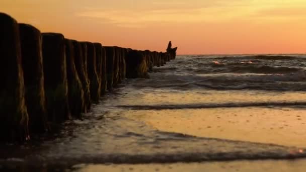 金色日落时 海滩上的木杆 海水波中的破浪杆头 — 图库视频影像
