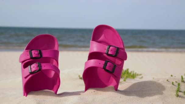 Sandali Rosa Spiaggia Una Bella Giornata Sole Pantofole Nella Sabbia — Video Stock