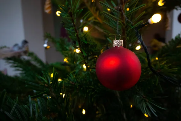 Κόκκινο Χριστουγεννιάτικο Δέντρο Μπάλα Διακόσμηση Κρέμεται Πράσινο Κλαδί Έλατο Που — Φωτογραφία Αρχείου
