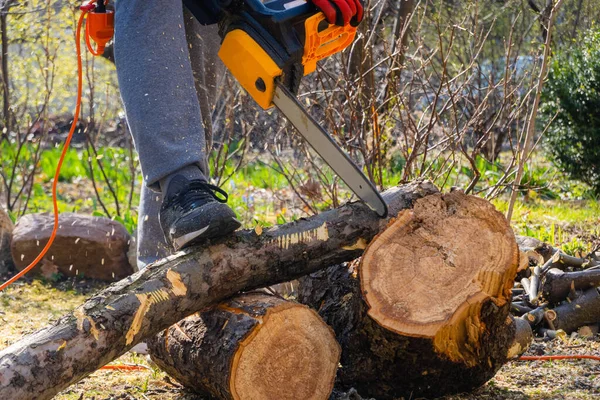 Männer Sägen Mit Der Kettensäge Apfelbaum Seinem Hinterhof Arbeiter Schneiden — Stockfoto