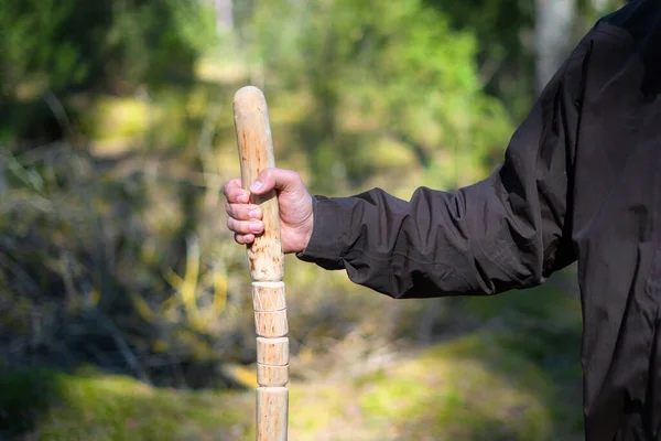 Close up of man holding a walking stick in the forest. Hand made wooden walking pole in hand of walker on a sunny day